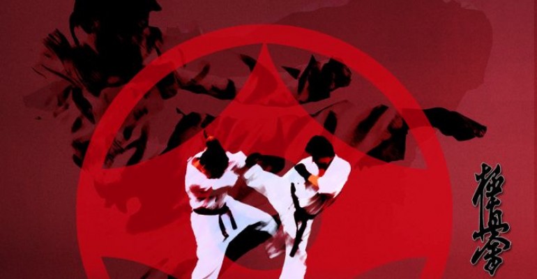 Puchar Podkarpacia Karate Kyokushin