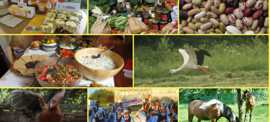 WALKA O ZDROWIE: Prawdziwa żywność od prawdziwych rolników! Podpisz „Deklarację Belwederską”
